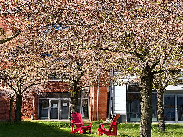 Zwei rote Stühle vor einem Gebäude, ein Baum im vordergrund, drei im Hintergrund