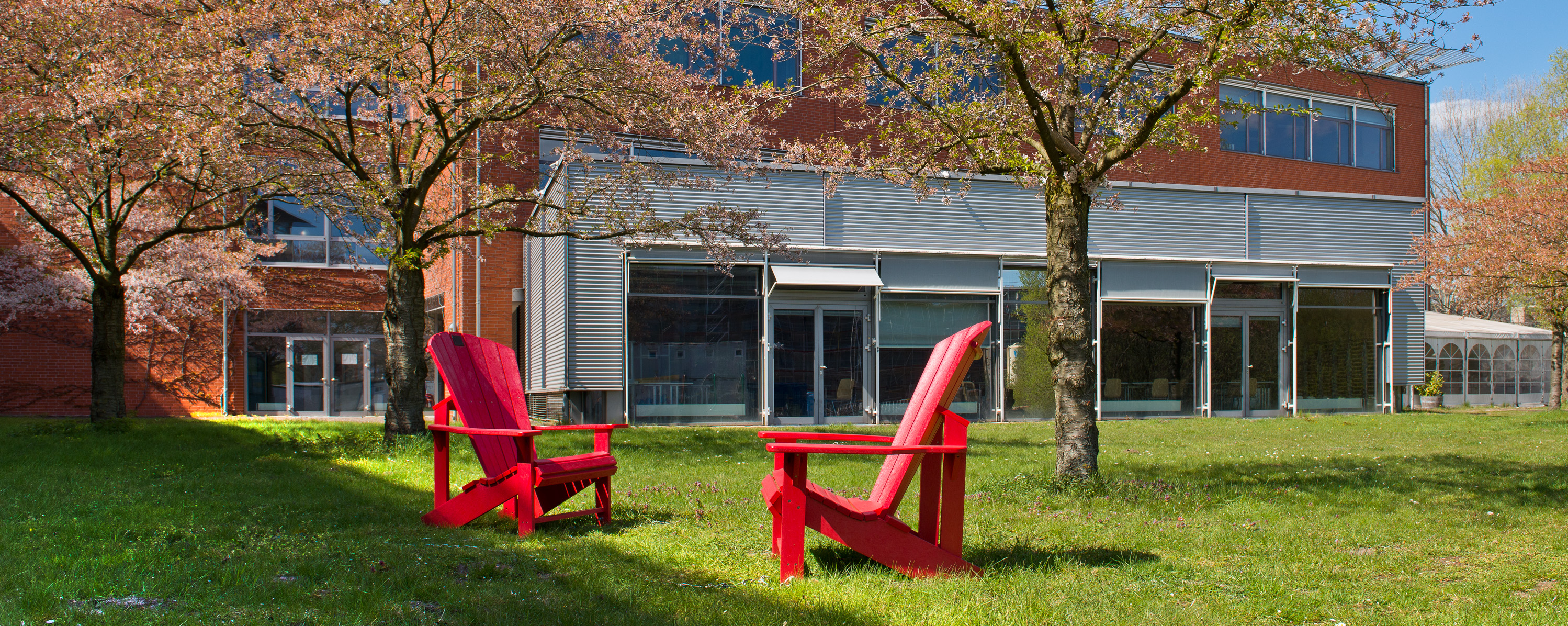 Rote Stühle auf einer Wiese vor der Universität Bremen