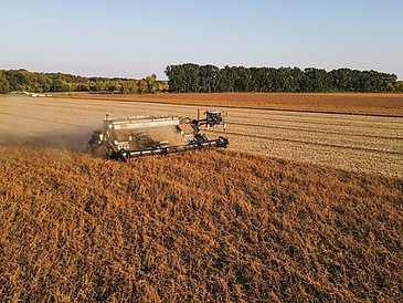 Das Fahrzeug NEXAT auf einem Feld bei der Sojaernte. Forschende der Universität Bremen und Hochschule Osnabrück arbeiten mit dem niedersächsischen Landtechnikhersteller NEXAT GmbH an der Autonomisierung