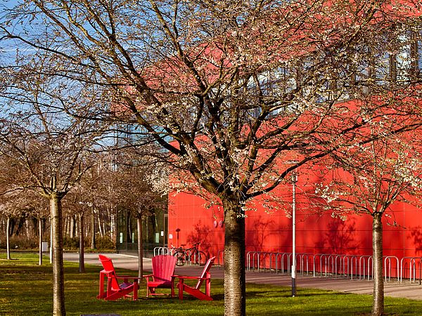 Rote Liegestühle vor der roten Fassade des Gebäudes MZH