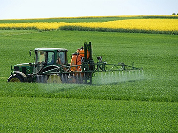 Traktor bringt Düngemittel auf einem grünbewachsenen Feld auf.