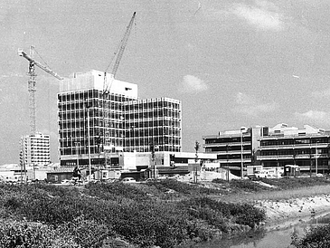 A Landscape Picture of the MZH and the GW while under construction