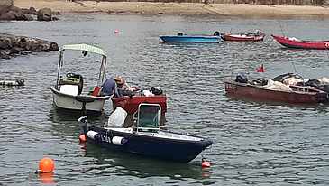 Kleine Fischerboote vor einer Küste