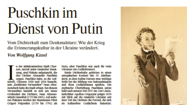 Screenshot v. FAZ-Beitrag