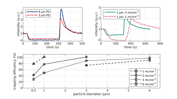 Dielektrophoretische Partikelchromatographie (DPC) mit skalierbarer ...