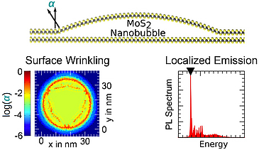 research highlight