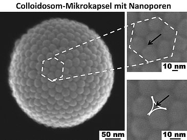 Computermikroskopische Aufnahme eines 50 nm großen Nanopartikels.
