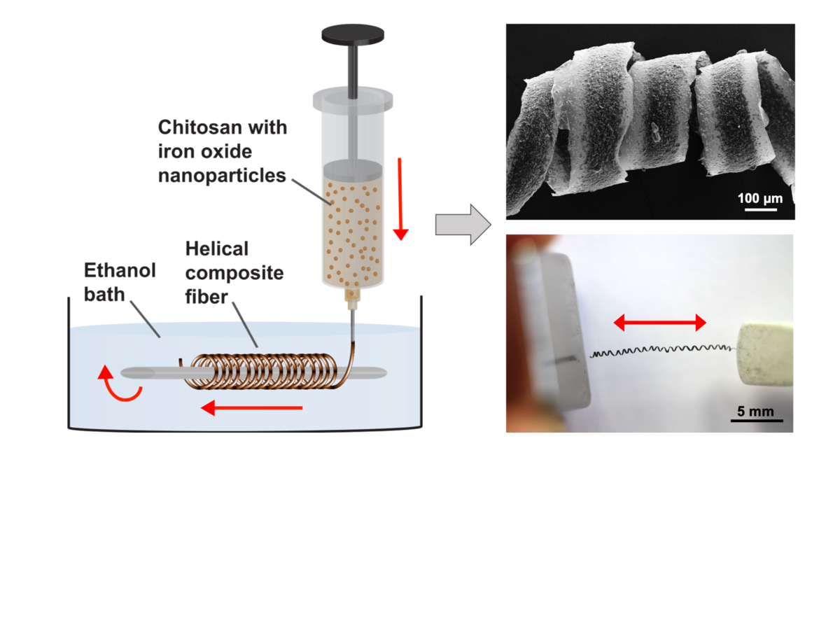 Wet-spinning of chitosan Wet spinning of chitosan