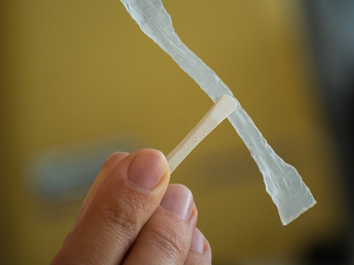 Macroscopic fibronogen scaffolds Scaffold