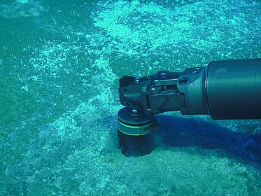 Beprobung eines Sedimentkerns in einem Bereich mit advektivem hydrothermalem Fluidfluss. Die gewonnenen Sedimentproben bildeten die Grundlage für die geochemischen und mineralogischen Untersuchungen der Studie