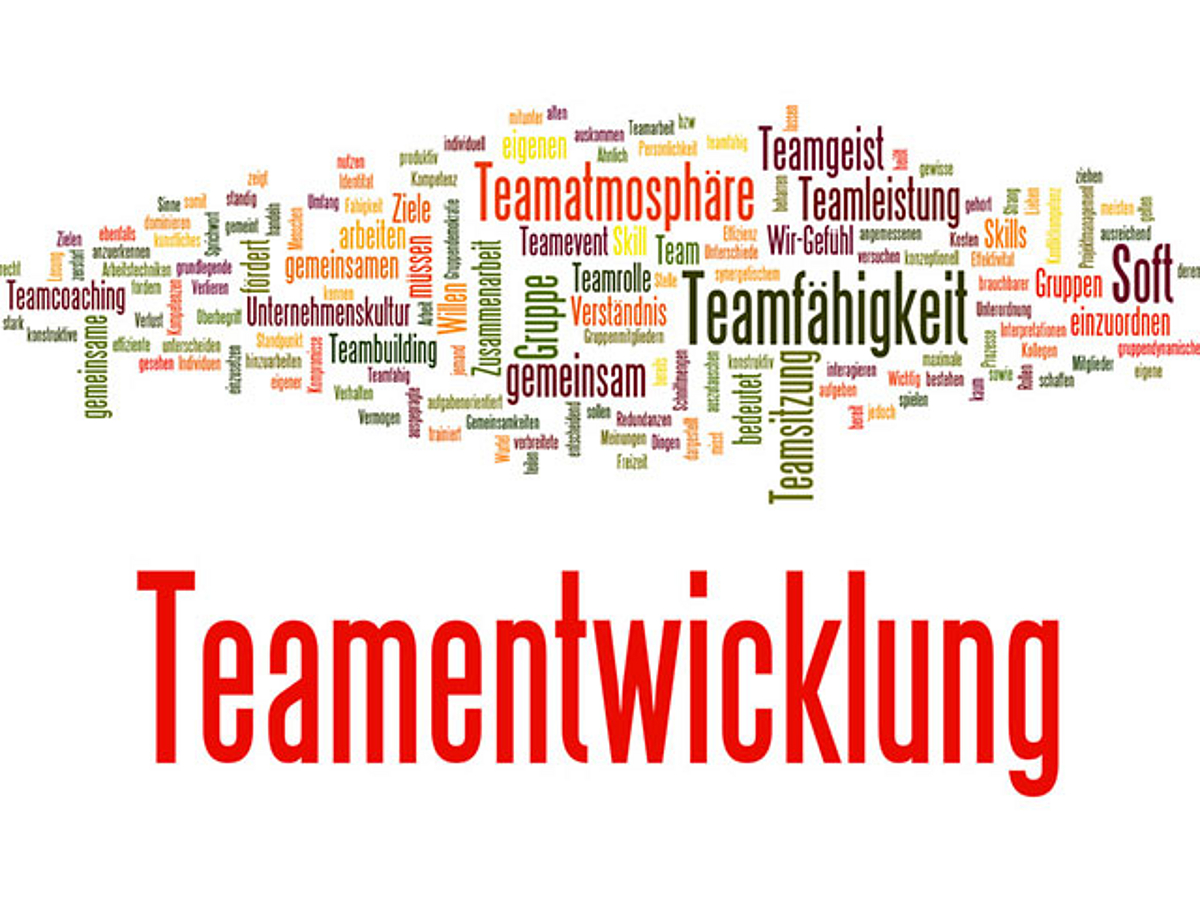 Teamentwicklung, Teamfähigkeit