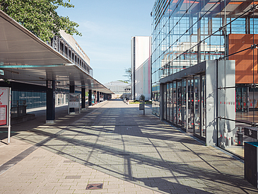 A deserted university boulevard.