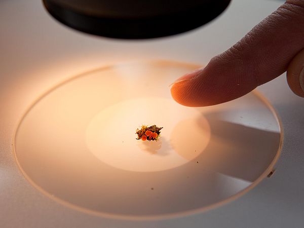 Beratung und Vernetzung von Postdocs