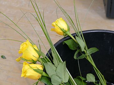 Picture of yellow Flowers