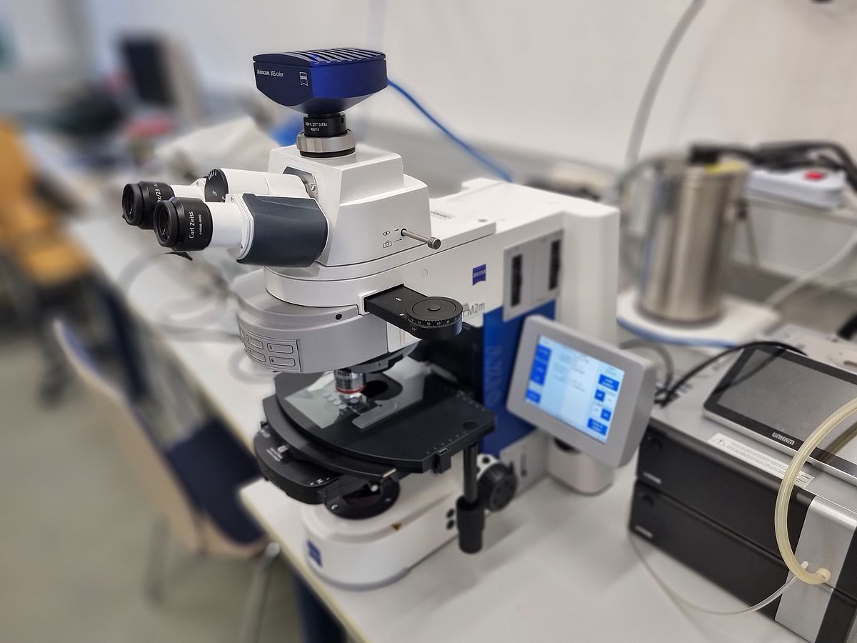 Digitales Lichtmikroskop