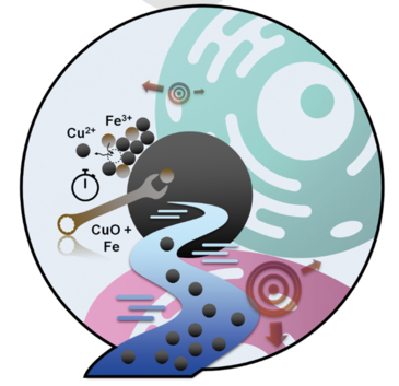 Model‐Based Nanoengineered Pharmacokinetics of Iron‐Doped Copper Oxide for Nanomedical Applications