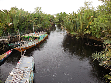 Fluss in Malaysia