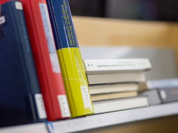 Books lie in a shelf.