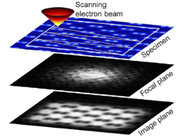 Electron Microscopy Figure