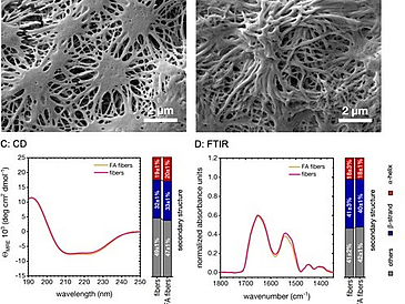 Controlling the Multiscale Structure of Nanofibrous Fibrinogen Scaffolds for Wound Healing pic