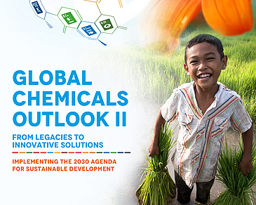 Global Chemicals Outlook II – From Legacies to Innovative Solutions: Implementing the 2030 Agenda for Sustainable Development