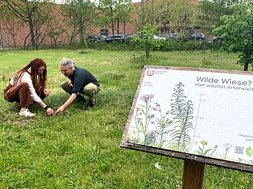 Marko Rohlfs und Lorena Kalvelage hocken auf einer Wiese und schauen sich die Pflanzen am Boden an. Im Vordergrund steht ein Schild, das über das Biodiversitätsprojekt auf dem Campus informiert.