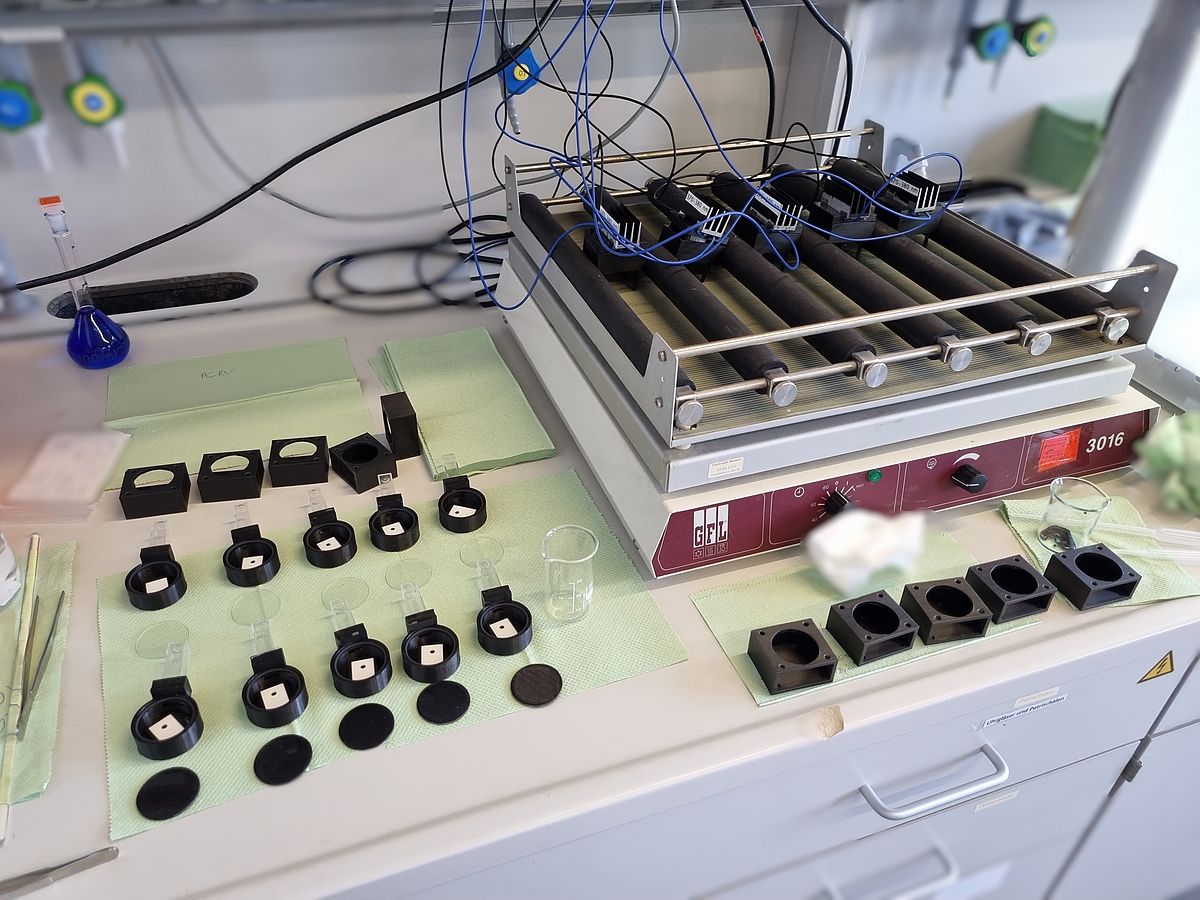 Standardisiertes Testsystem 2 (STD2)