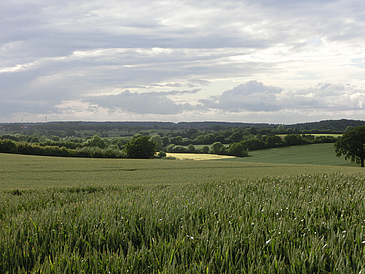 Landschaft mit Wiesen und Feldern