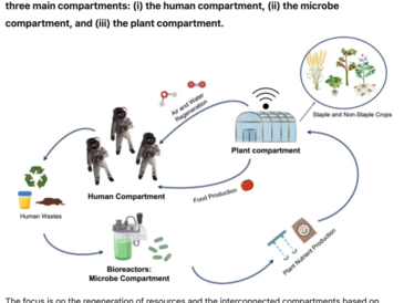 Plant_and_microbial