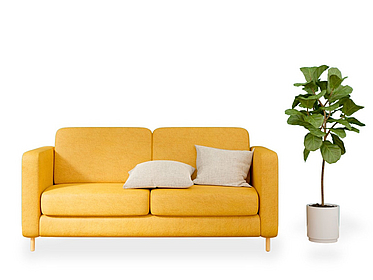 SKILL Lehr-Lounge - 8 Es ist ein gelbes Sofa mit beigen Kissen zu sehen. Daneben steht eine große Grünpflanze.