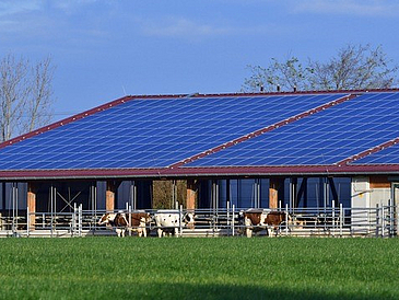 Erneuerbare Energien