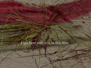 Sand mit roter Fläche und Textzeile: I am here with you in this film