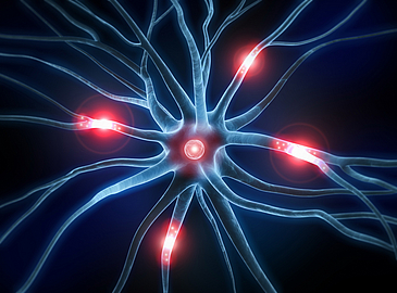 Grafisch Darstellung einer Synapse mit Nervenbahnen auf der Reize rot markiert sind.