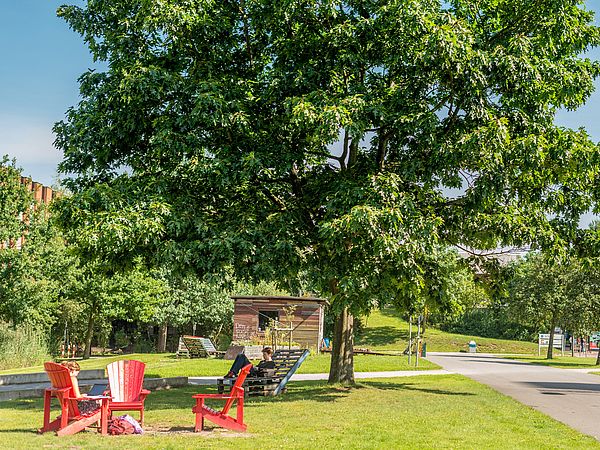 Drei rote Stühle unter einem Baum im Campuspark