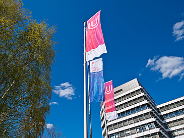 Flaggen der Universität Bremen.