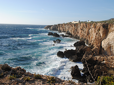 Zu sehen ist eine Bucht mit Meer