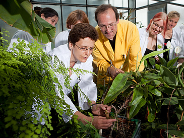 People in lab coats look at plants in a greenhouse.