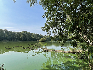 See auf dem Gelände des Blockhauses Ahlhorn