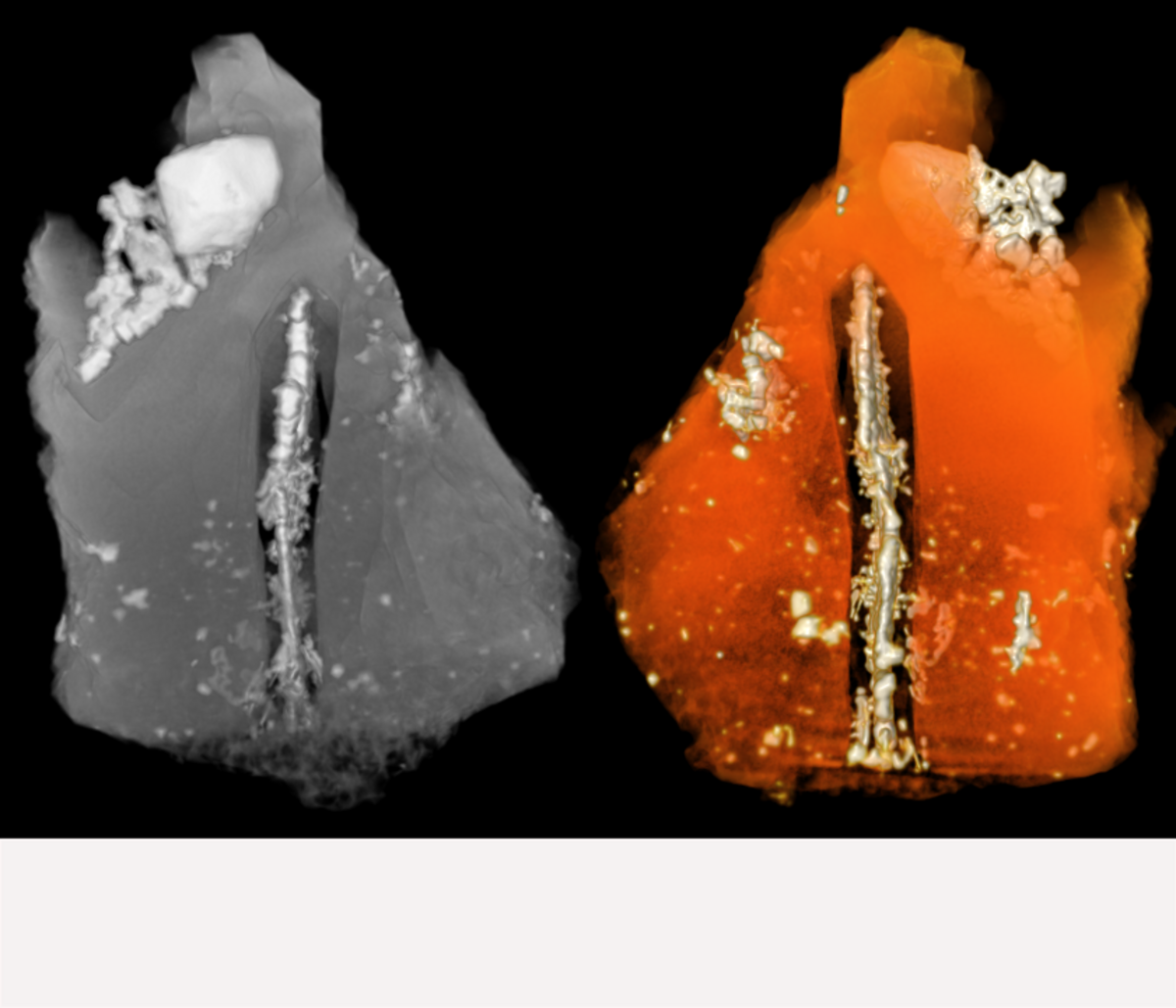 Volume reconstruction of submarine volcanic ash particle