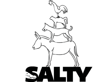 Logo der Salty-Konferenz