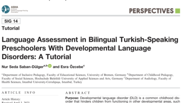 Language Assessment in Bilingual Turkish-Speaking Preschoolers With DLD