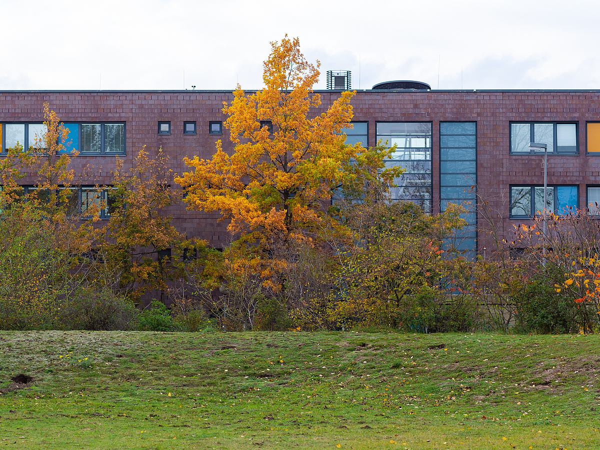 Ein Baum mit buntem Herbstlaub im Campuspark.