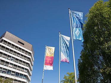 Fahnen der Northwest Allliance