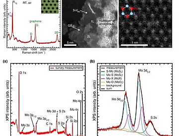 Atomic vs. sub-atomic layer deposition: impact of growth rate on the optical and structural properties of MoS2 and WS2 article picture