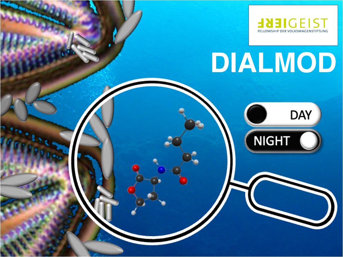 DIALMOD project concept Concept-Visualisation of the DIALMOD project funded by the Volkswagen Foundation: we are investigating the dynamics of signalling molecules and metabolites in diatom-bacteria interactions across the day-night cycle