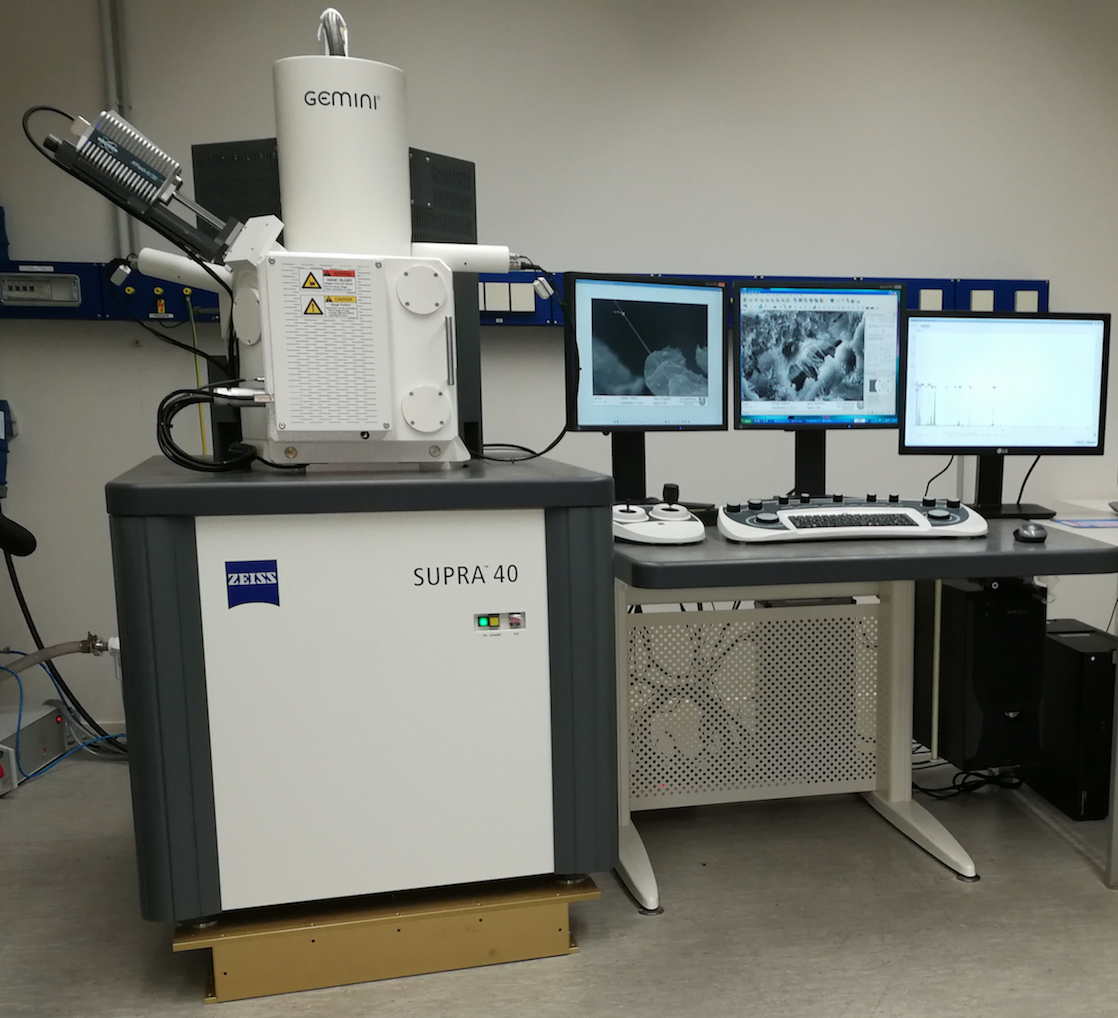 FESEM & EDX A scanning electron microscope and an energy dispersive X-ray spectroscope in the laboratory