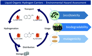 Hazard assessment